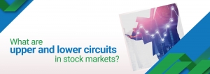 What is a Lower Circuit in the share market?